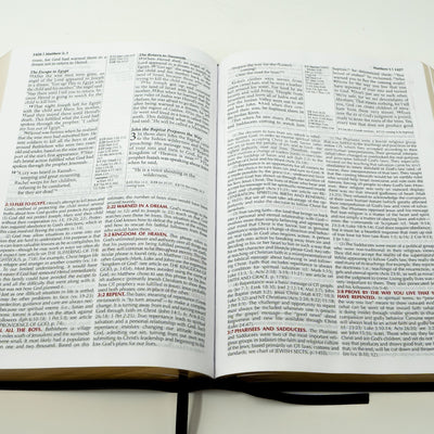 NLT - Bonded Leather - FireBible