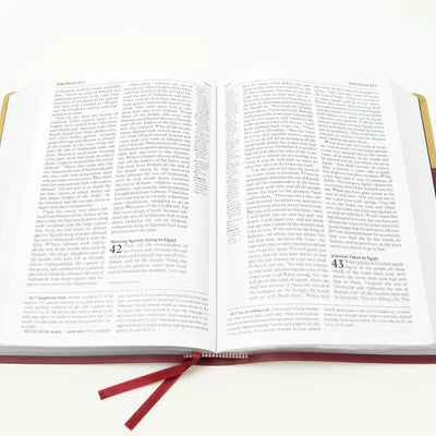 ESV - Berry/Tan - FireBible