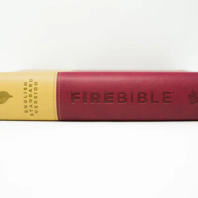 ESV - Berry/Tan - FireBible