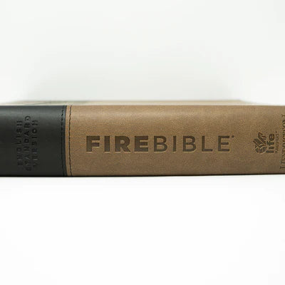 ESV - Slate/Charcoal - FireBible